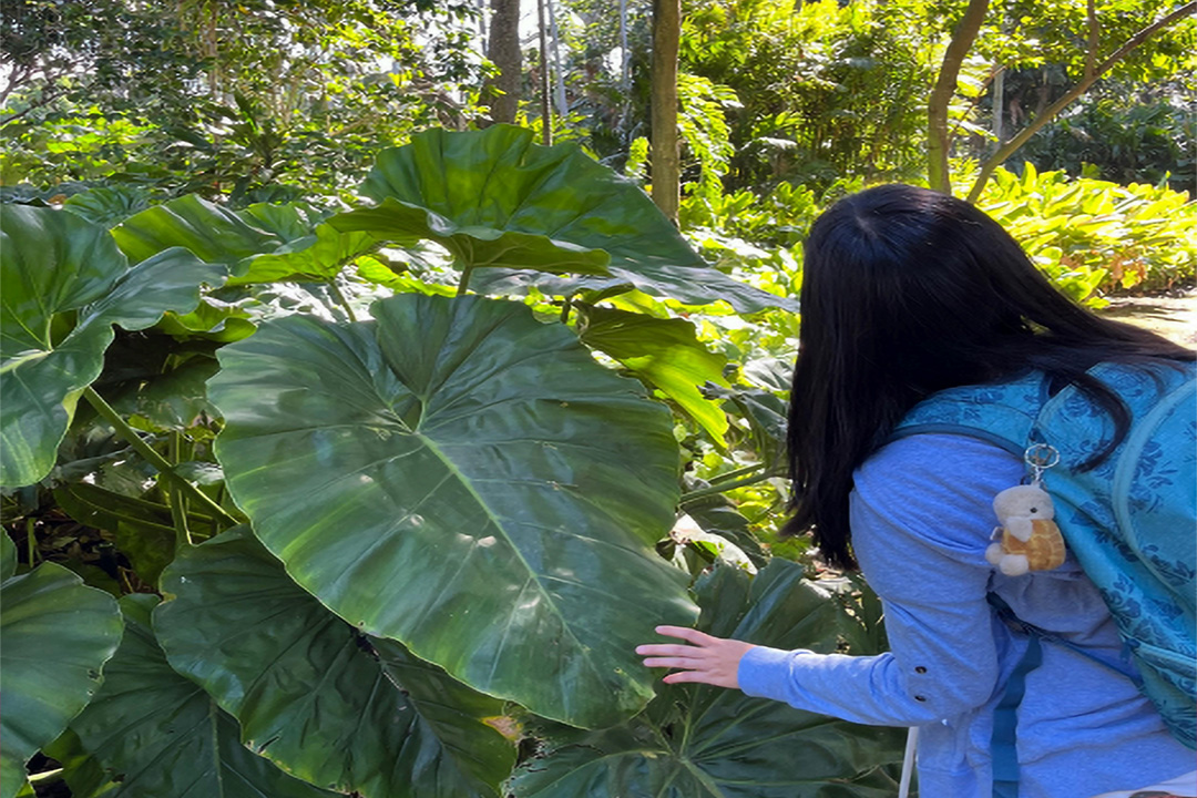 A person with long dark hair wearing a blue shirt and a backpack adorned with a small plush keychain leans towards a large green leaf in a lush garden setting. Sunlight filters through the trees, highlighting the vibrant foliage around them, creating a peaceful, natural atmosphere.